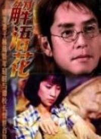 解语花 在线观看,穿越时空的浪漫传奇